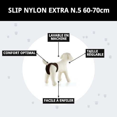 Slip en Nylon Extra N.5 pour Chiennes en Chaleur - Confort et Style