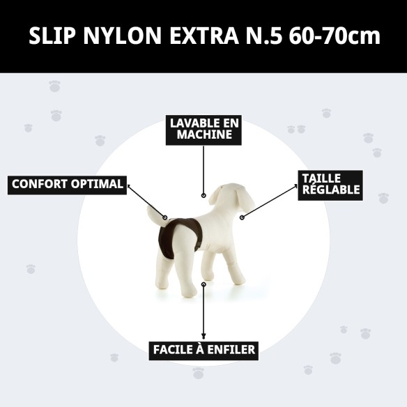 Slip en Nylon Extra N.5 pour Chiennes en Chaleur - Confort et Style