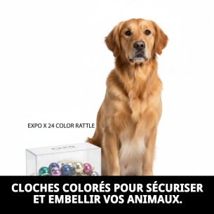 Cloches de couleur pour animaux de compagnie - Présentoir x 24 unités 2