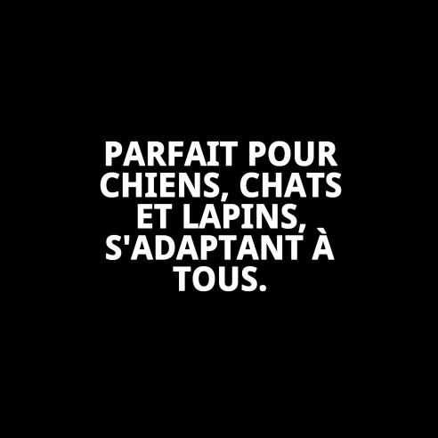 Cloches de couleur pour animaux de compagnie - Présentoir x 24 unités