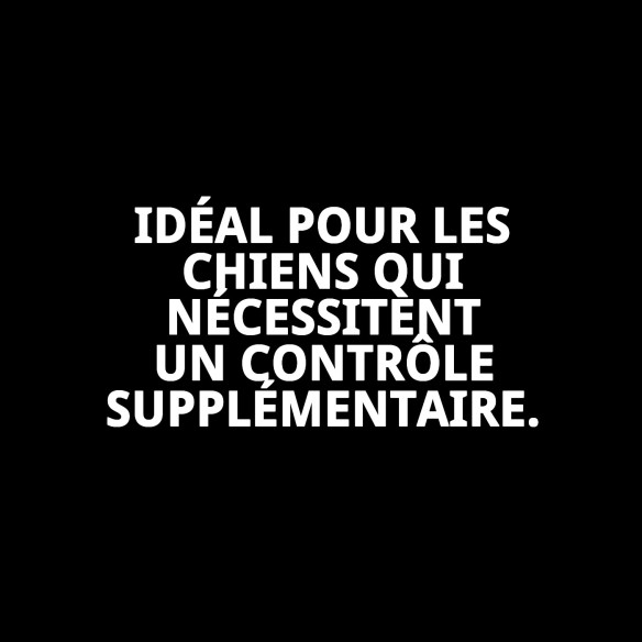 Muzzle Panier en Cuir et Plastique N.3 pour Animaux de Compagnie