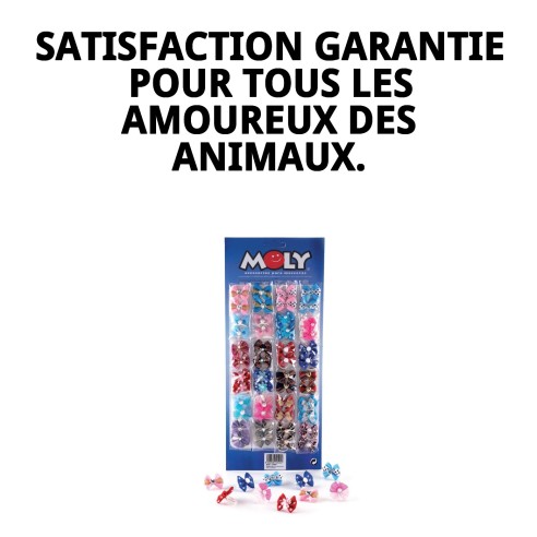 Exposant Modèle 2 x 48 Nœuds pour Animaux de Compagnie - Habillez votre Meilleur Ami !