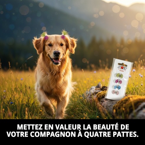 Exposant 4 Pinces à Cheveux - Prenez Soin de la Beauté de Votre Animal de Compagnie