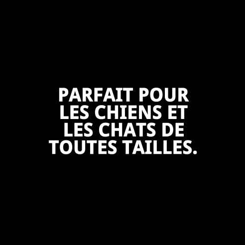 Exposant 4 Pinces à Cheveux - Prenez Soin de la Beauté de Votre Animal de Compagnie