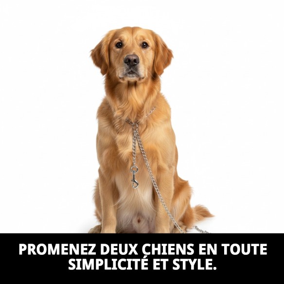 Accouplement Chromé pour 2 Chiens - 25cm x 2mm de Qualité