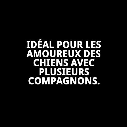 Accouplement Chromé pour 2 Chiens - 25cm x 2mm de Qualité