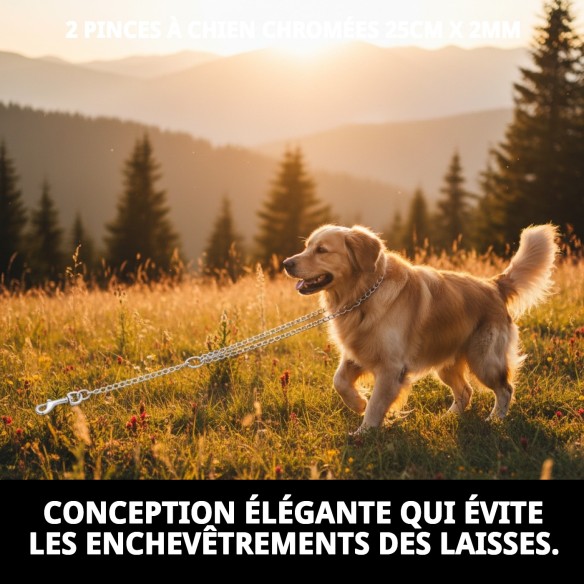Accouplement Chromé pour 2 Chiens - 25cm x 2mm de Qualité