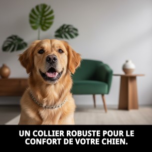 Collier en Chaîne Métallique Résistante pour Chiens 55cm 2