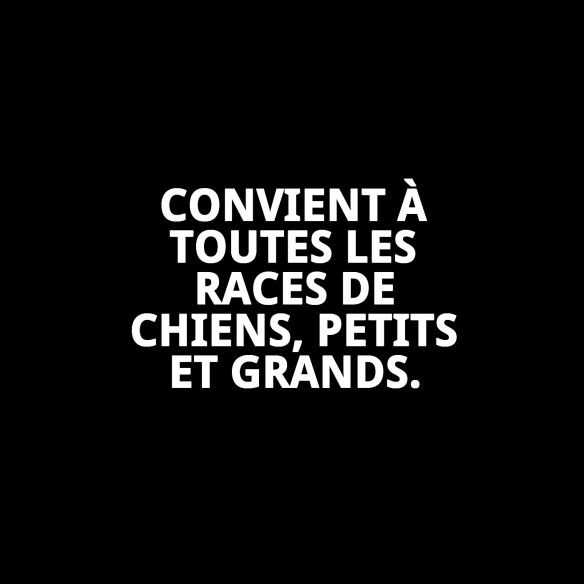 Collier en Chaîne Métallique Résistante pour Chiens 55cm