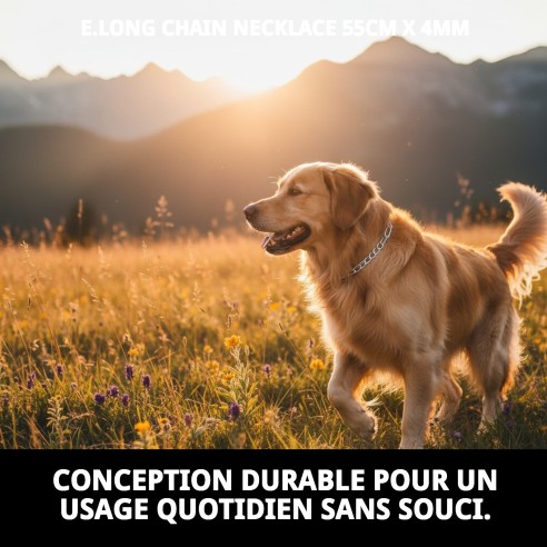 Collier en Chaîne Métallique Résistante pour Chiens 55cm