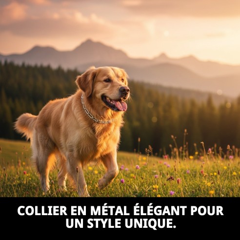 Collier Chaîne E.Long 65cm x 4mm pour Animaux de Compagnie