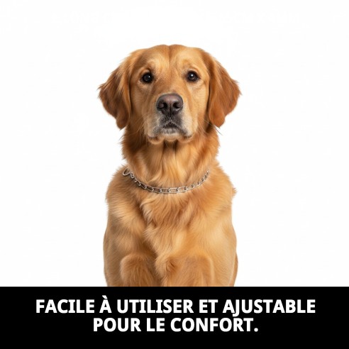 Collier Chaîne E.Long 65cm x 4mm pour Animaux de Compagnie