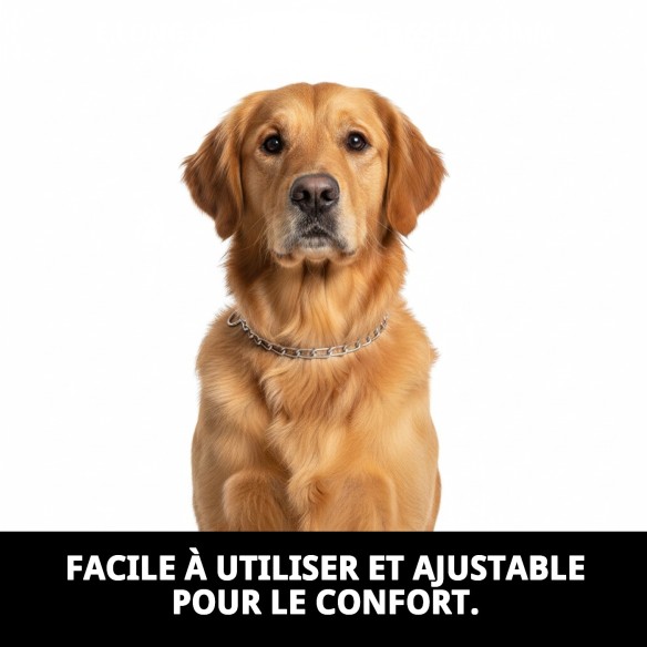 Collier Chaîne E.Long 65cm x 4mm pour Animaux de Compagnie