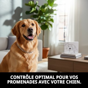 Collier en Chaîne pour Chiens - 70cm x 4mm Résistant 2