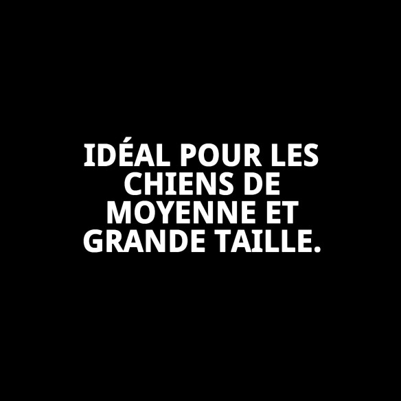 Collier en Chaîne pour Chiens - 70cm x 4mm Résistant