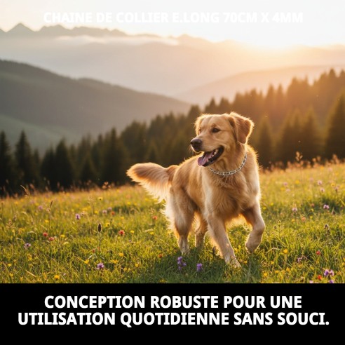 Collier en Chaîne pour Chiens - 70cm x 4mm Résistant