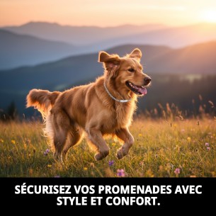 Collier Chaîne avec Plaque 40cm x 3mm pour Animaux de Compagnie 2