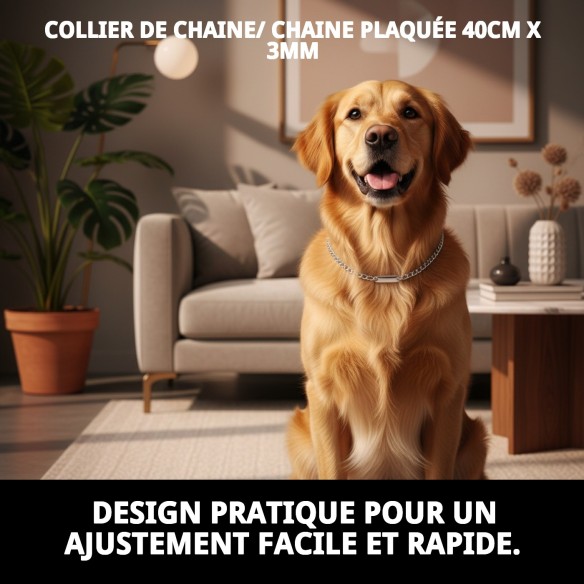 Collier Chaîne avec Plaque 40cm x 3mm pour Animaux de Compagnie