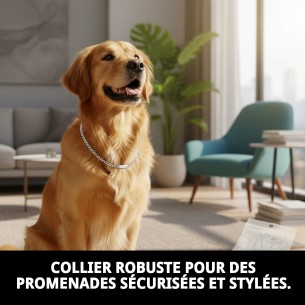 Collier Chaîne avec Plaque 45cm x 3mm pour votre Animal de Compagnie 2