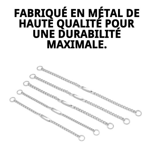 Collier Chaîne avec Plaque 45cm x 3mm pour votre Animal de Compagnie