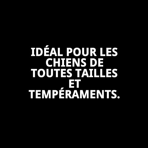 Collier Chaîne avec Plaque 45cm x 3mm pour votre Animal de Compagnie