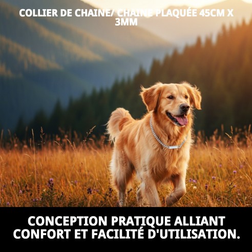 Collier Chaîne avec Plaque 45cm x 3mm pour votre Animal de Compagnie