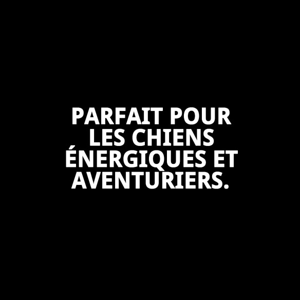 Collier chaîne avec plaque 50 cm x 3,5 mm pour animaux de compagnie.