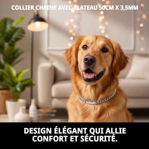 Collier chaîne avec plaque 50 cm x 3,5 mm pour animaux de compagnie.