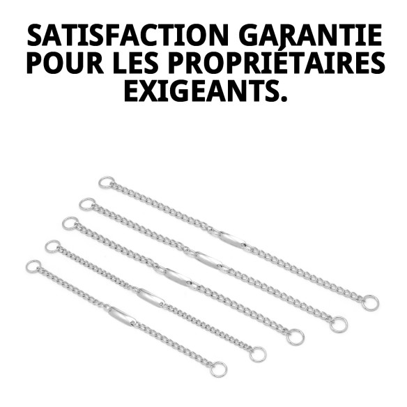 Collier chaîne avec plaque 50 cm x 3,5 mm pour animaux de compagnie.