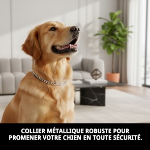 Collier Chaîne avec Plaque 55 cm - Résistance et Style pour Votre Animal de Compagnie 2