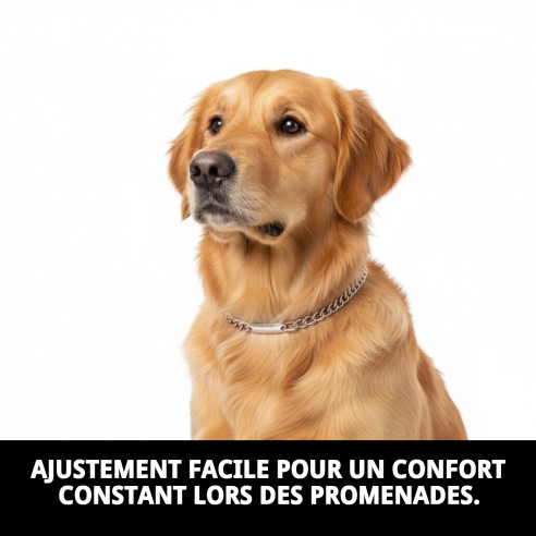 Collier Chaîne avec Plaque 55 cm - Résistance et Style pour Votre Animal de Compagnie