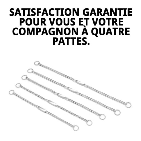 Collier Chaîne avec Plaque 55 cm - Résistance et Style pour Votre Animal de Compagnie