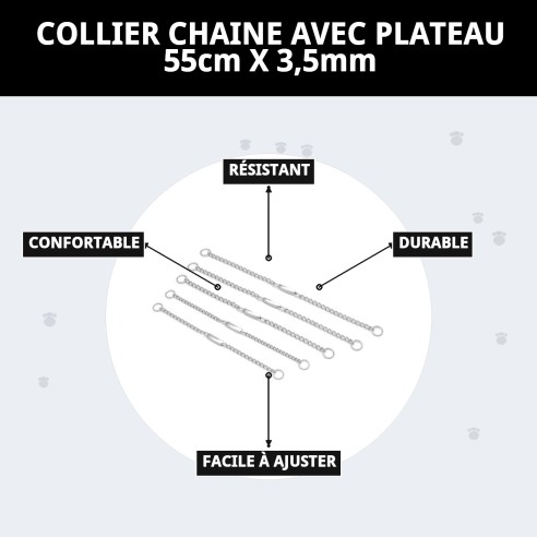 Collier Chaîne avec Plaque 55 cm - Résistance et Style pour Votre Animal de Compagnie