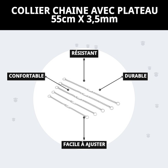 Collier Chaîne avec Plaque 55 cm - Résistance et Style pour Votre Animal de Compagnie