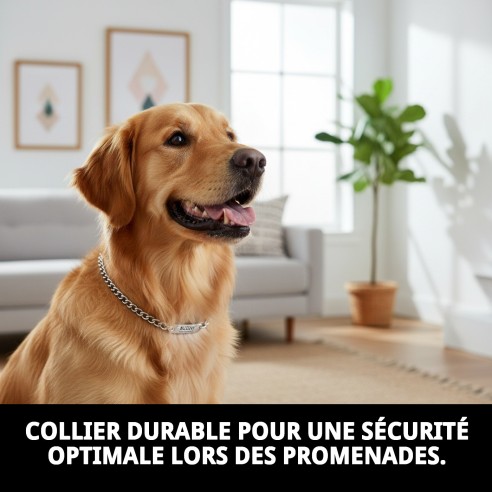 Collier Chaîne avec Plaque 60cm - Style et Sécurité pour votre Animal de Compagnie