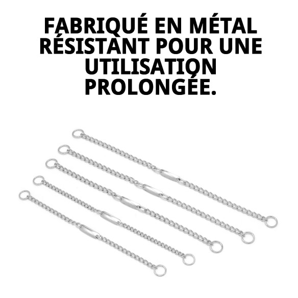 Collier Chaîne avec Plaque 60cm - Style et Sécurité pour votre Animal de Compagnie