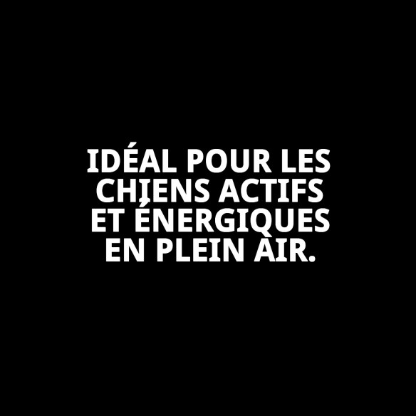 Collier Chaîne avec Plaque 60cm - Style et Sécurité pour votre Animal de Compagnie