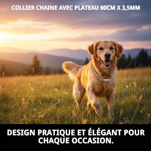 Collier Chaîne avec Plaque 60cm - Style et Sécurité pour votre Animal de Compagnie