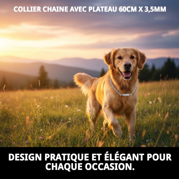Collier Chaîne avec Plaque 60cm - Style et Sécurité pour votre Animal de Compagnie