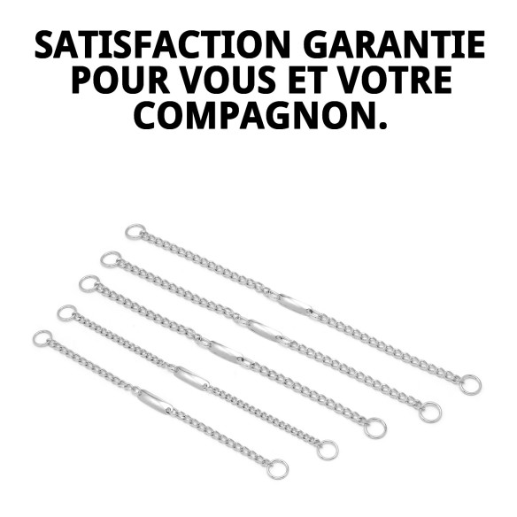 Collier Chaîne avec Plaque 60cm - Style et Sécurité pour votre Animal de Compagnie