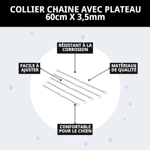 Collier Chaîne avec Plaque 60cm - Style et Sécurité pour votre Animal de Compagnie