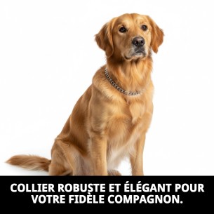 Collier Chaîne Chromé 45cm x 3,5mm pour votre animal de compagnie 2