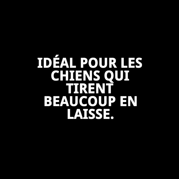 Collier Chaîne Chromé 45cm x 3,5mm pour votre animal de compagnie