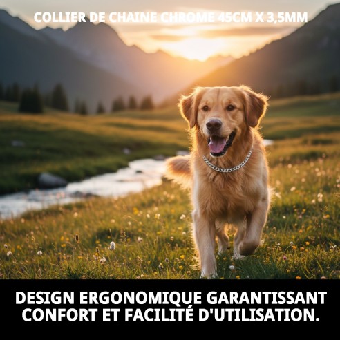 Collier Chaîne Chromé 45cm x 3,5mm pour votre animal de compagnie