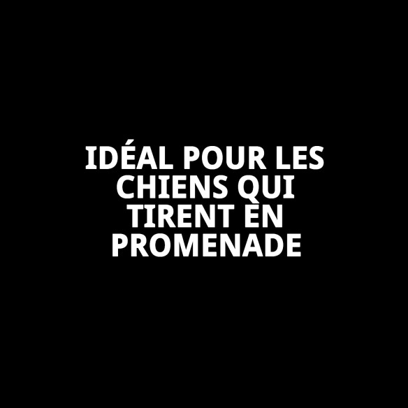 Collier Chaîne Chromé 55 cm x 3,5 mm pour Animaux de Compagnie