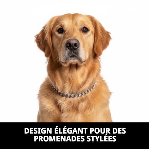 Collier Chaîne Chromé 55 cm x 3,5 mm pour Animaux de Compagnie