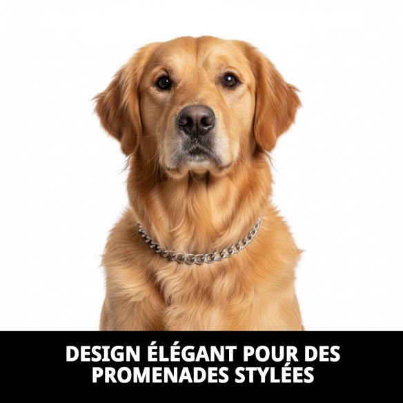 Collier Chaîne Chromé 55 cm x 3,5 mm pour Animaux de Compagnie