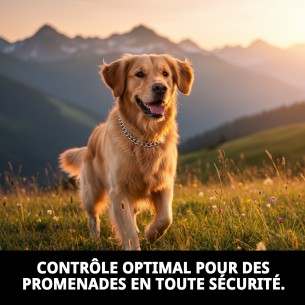 Collier Chaîne Chromé 65cm - Résistance et Style pour Animaux de Compagnie 2