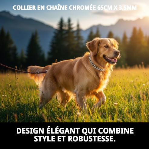Collier Chaîne Chromé 65cm - Résistance et Style pour Animaux de Compagnie