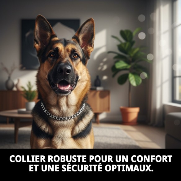 Collier en Chaîne Chromée pour Chien 75cm x 4mm